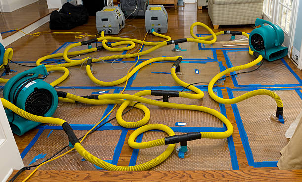 Professional Storm Water Damage Restoration technician working in Gloverville, SC